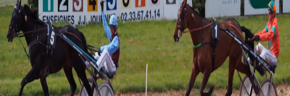 image-installateur-borne-de-recharge-argentan.webp Image Installateur borne de recharge Argentan