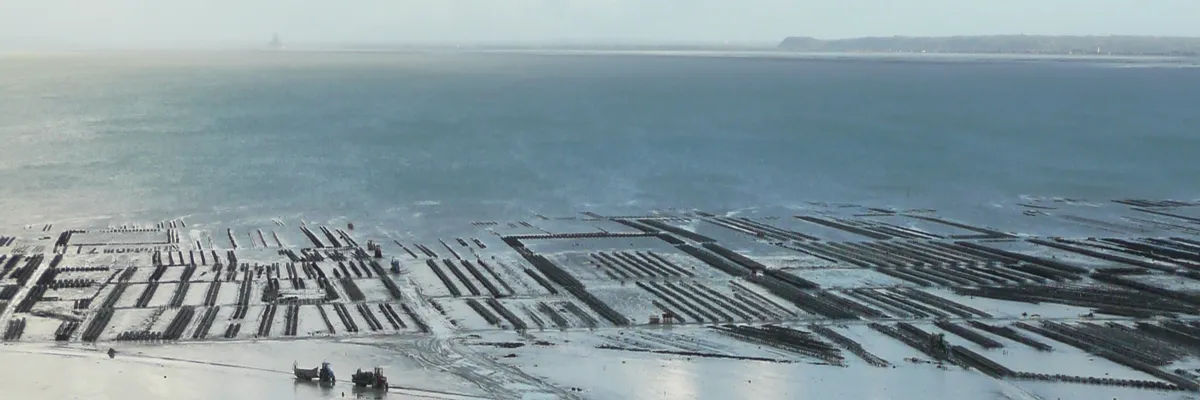 Image Installateur borne de recharge Cancale