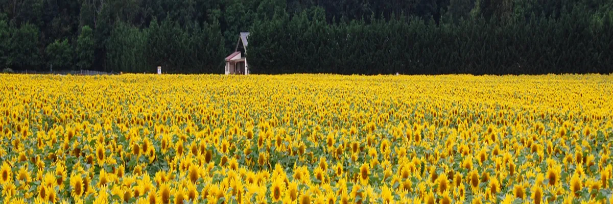 Image Installateur borne de recharge Centre-Val de Loire