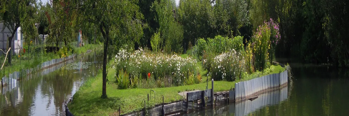 Image Installateur borne de recharge Cher