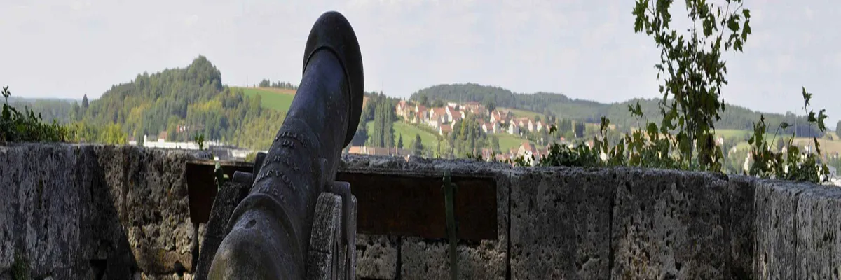 Image Installateur borne de recharge Gray