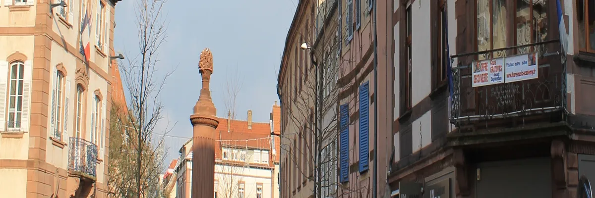 Image Installateur borne de recharge Haguenau