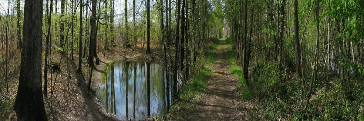 image-installateur-borne-de-recharge-indre.webp Image Installateur borne de recharge Indre