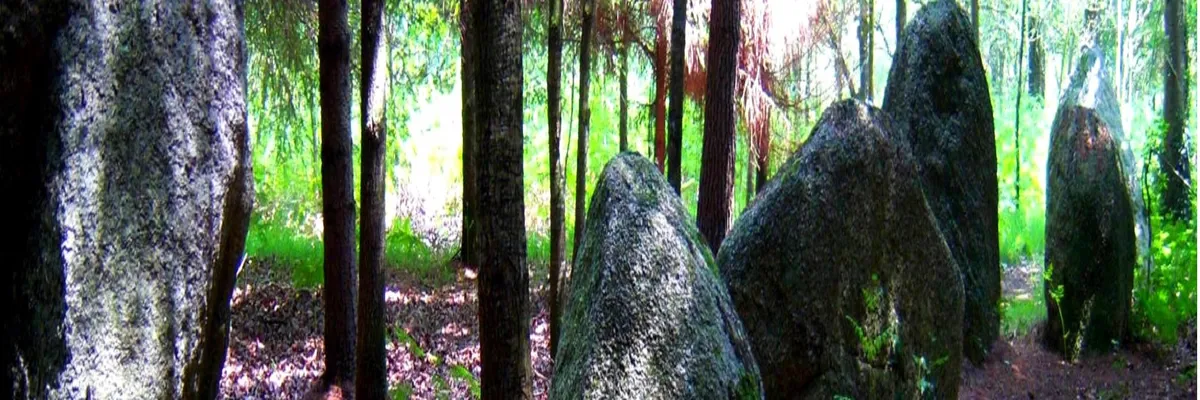 Image Installateur borne de recharge Languidic