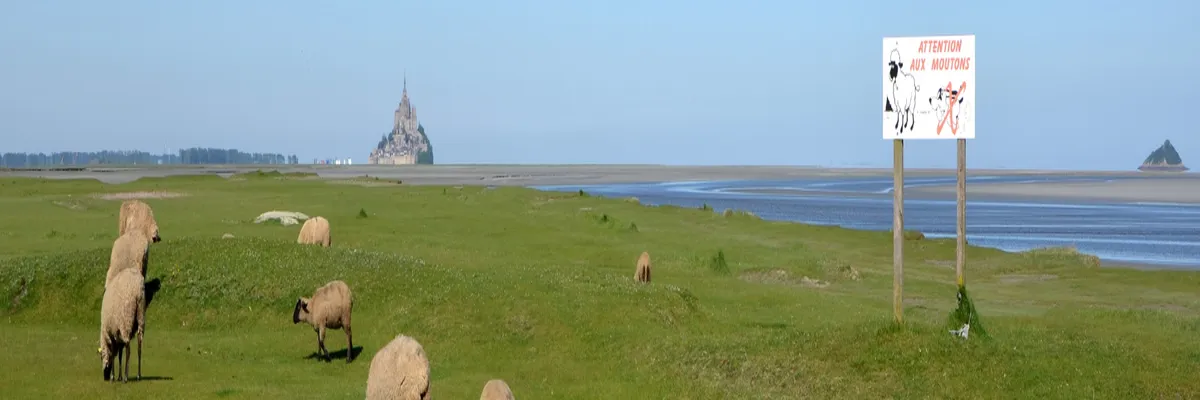 Image Installateur borne de recharge Manche