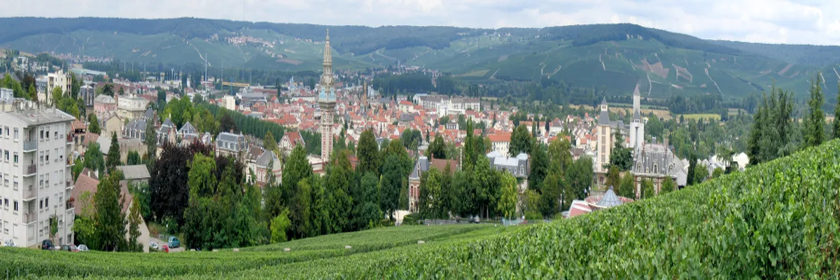 Image Installateur borne de recharge Marne