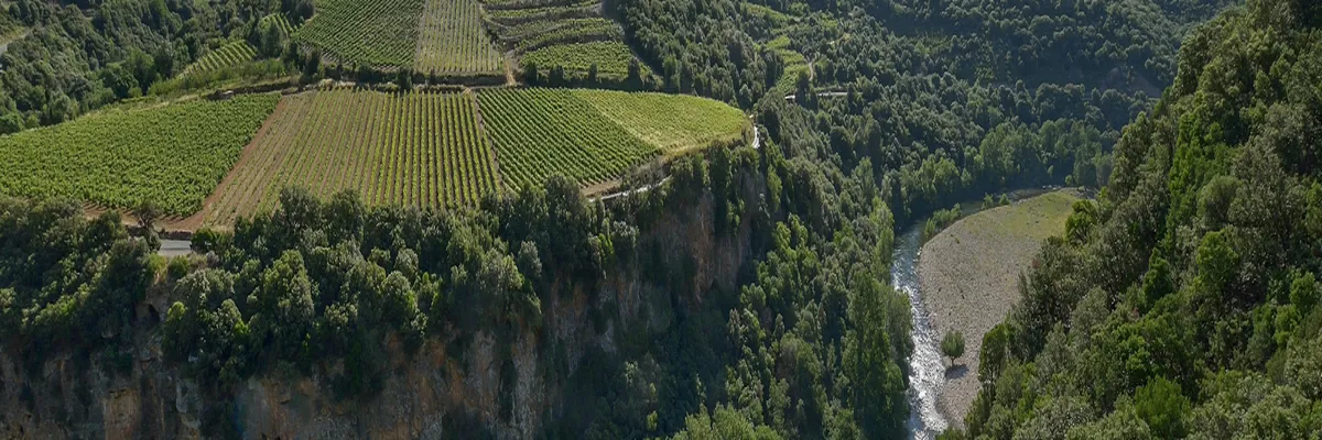 image-installateur-borne-de-recharge-occitanie.webp Image Installateur borne de recharge Occitanie