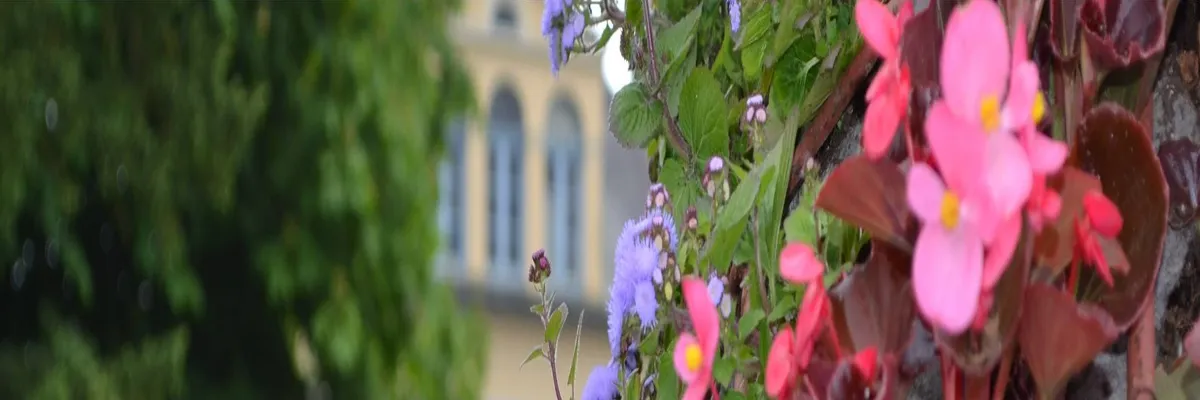 Image Installateur borne de recharge Saint-Étienne-au-Mont