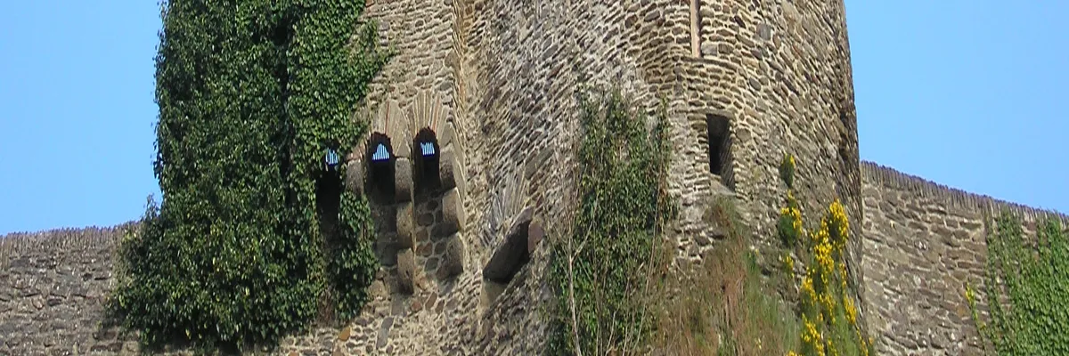 image-installateur-borne-de-recharge-saint-lo.webp Image Installateur borne de recharge Saint-Lô