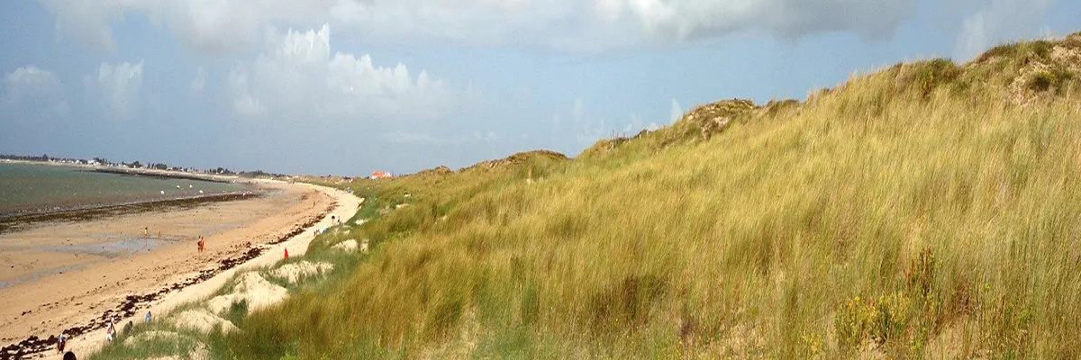 image-installateur-borne-de-recharge-vendee.webp Image Installateur borne de recharge Vendée