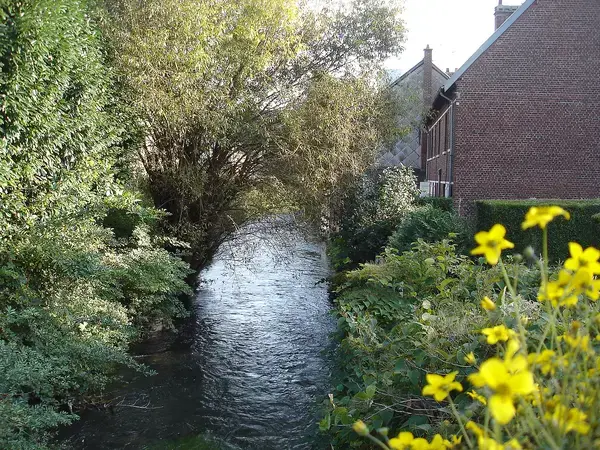 Borne de Recharge EV Installateur borne de recharge Déville-lès-Rouen