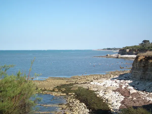 Borne de Recharge EV Installateur borne de recharge Nouvelle-Aquitaine